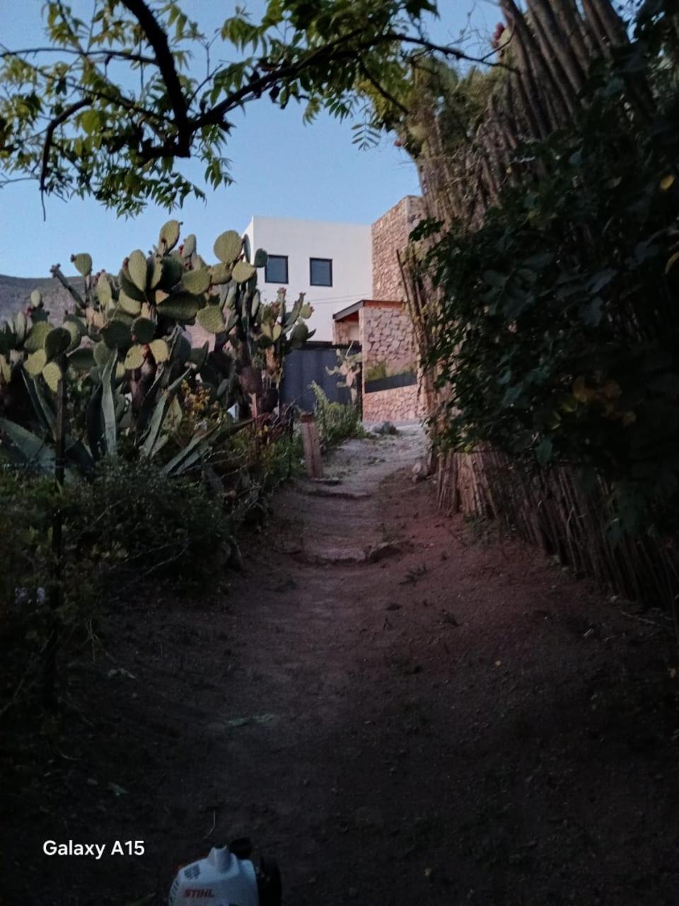 Ventana Al Desierto Pensionat Catorce Eksteriør billede