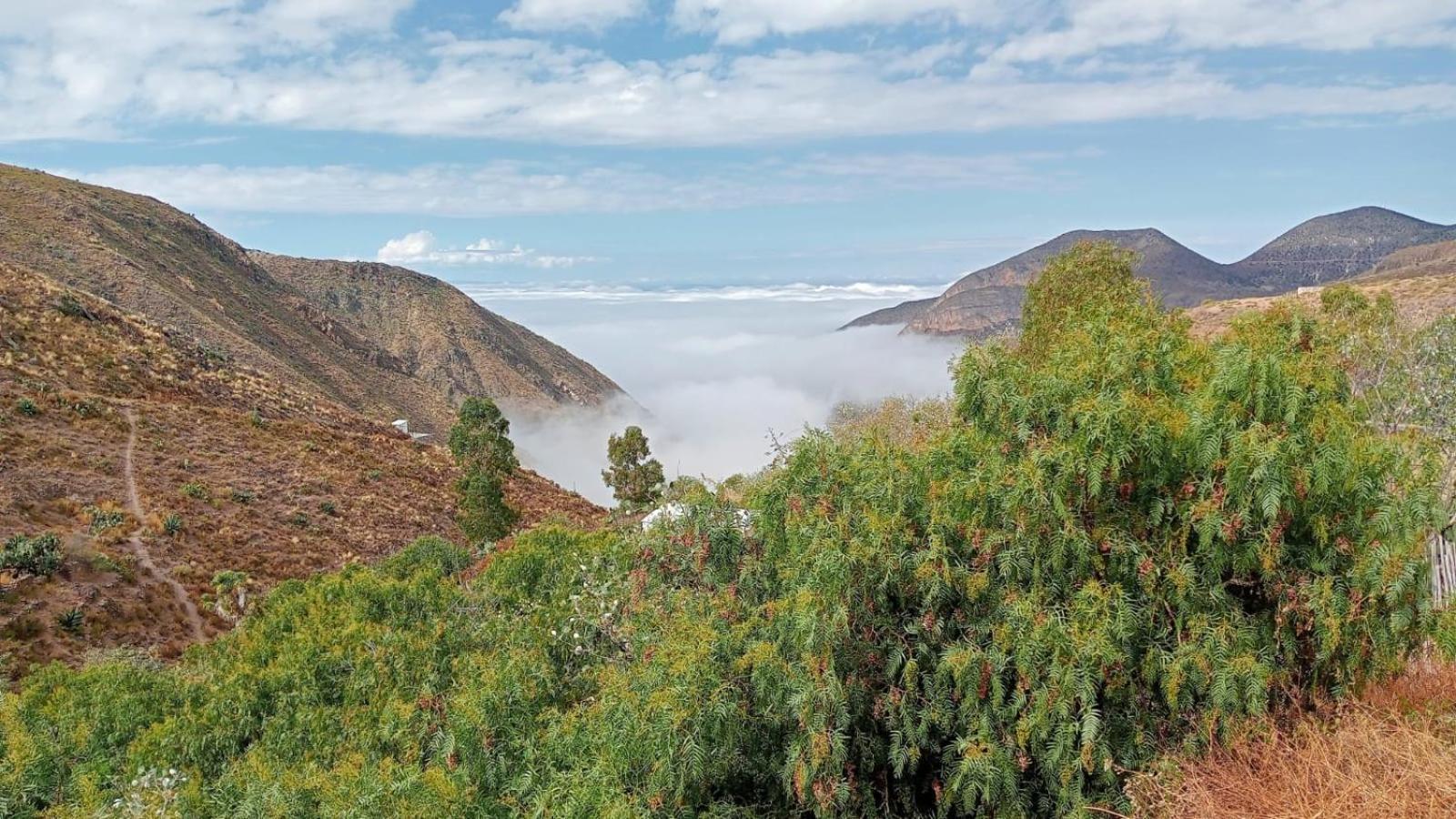 Ventana Al Desierto Pensionat Catorce Eksteriør billede